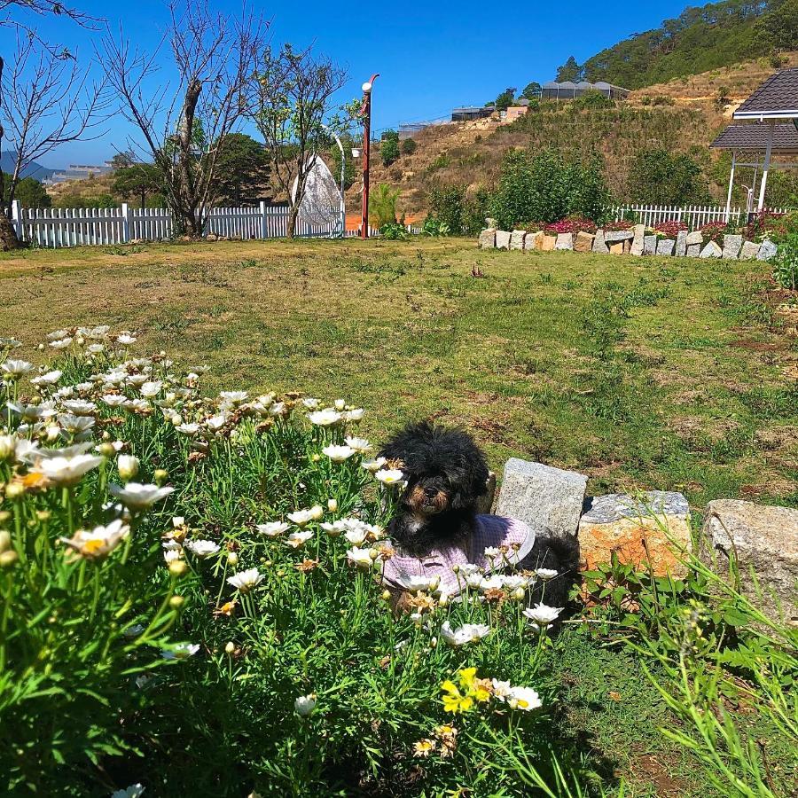 Canh Dong May Homestay Dalat Luaran gambar